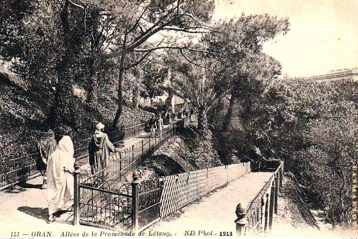 Oran- Promenade de Letang - Allees - 1913.jpg